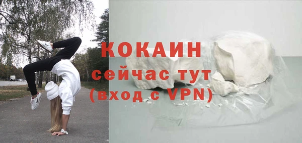 apvp Инсар