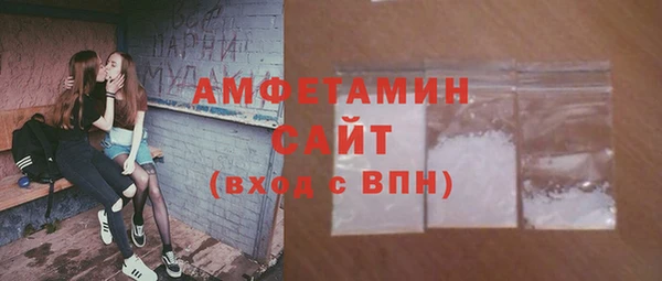 apvp Инсар