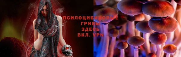 apvp Инсар