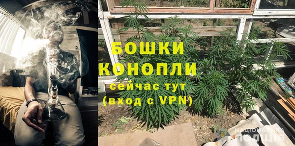 apvp Инсар