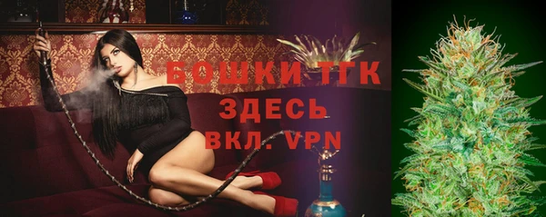 прущие грибы Каменка