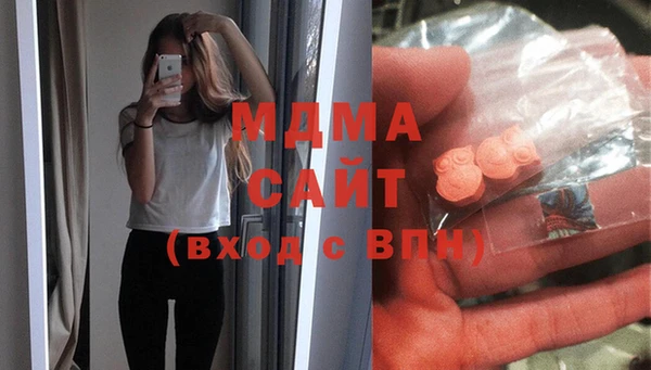 apvp Инсар