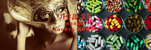 apvp Инсар
