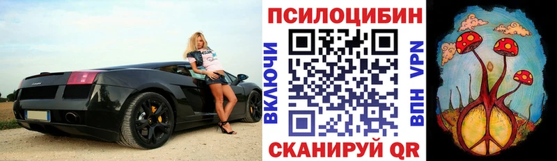Галлюциногенные грибы MAGIC MUSHROOMS  Купить  Армянск 